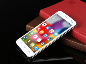 邦華TL1000風(fēng)尚白移動4G手機 非合約機實用之選